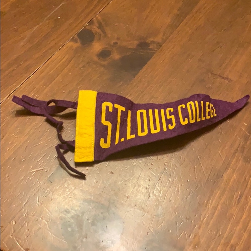 👙Small Vintage St. Louis College Pennant